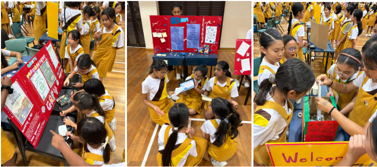 IPW for Primary Six – Environmental Conservation 1