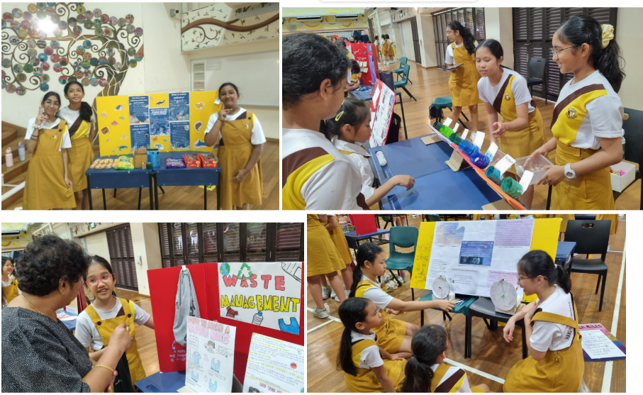 IPW for Primary Six – Environmental Conservation 3